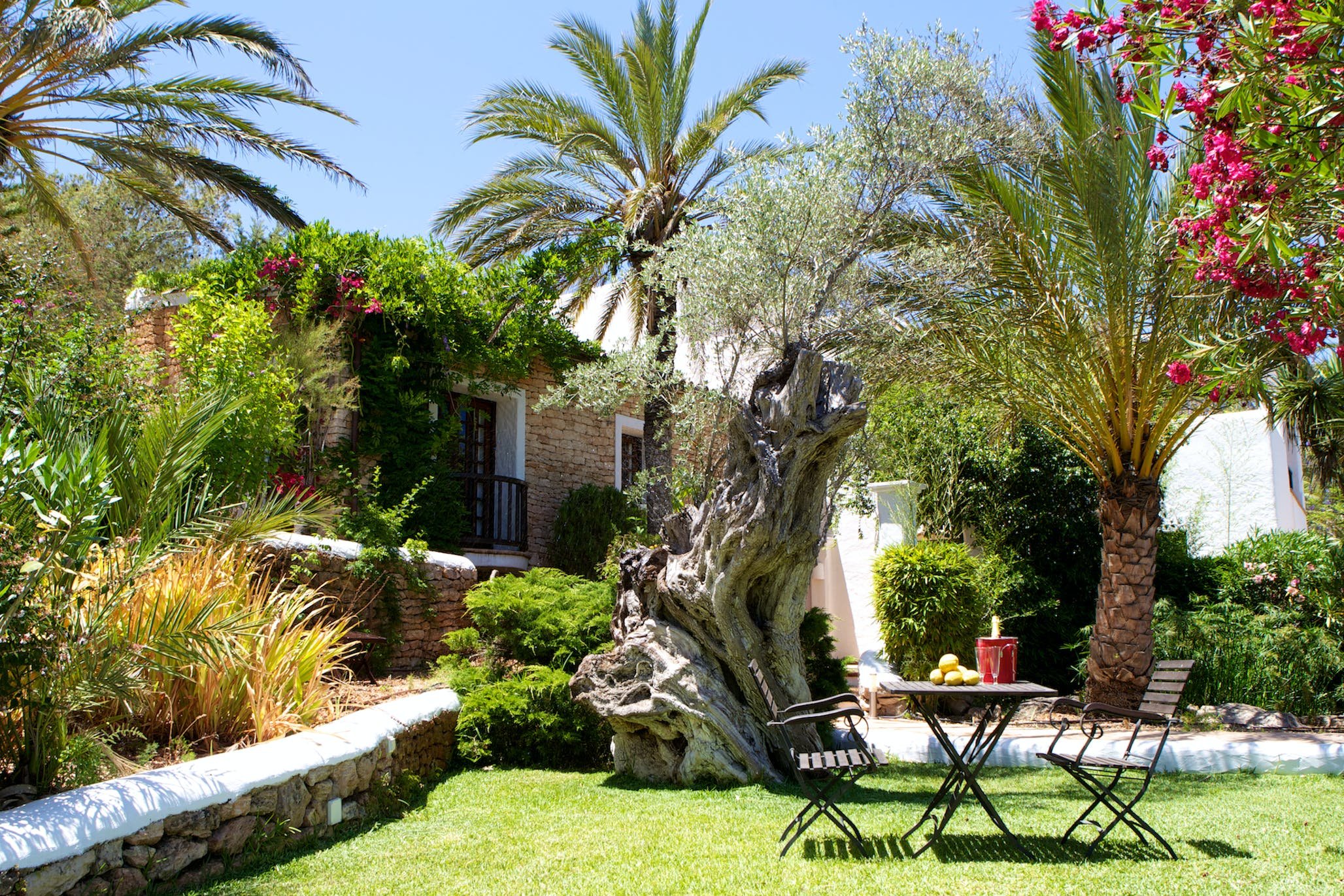 Can Buganvilla - Ibiza